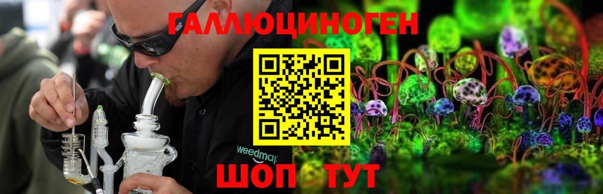 Галлюциногенные грибы MAGIC MUSHROOMS  Вход с VPN  Железногорск 